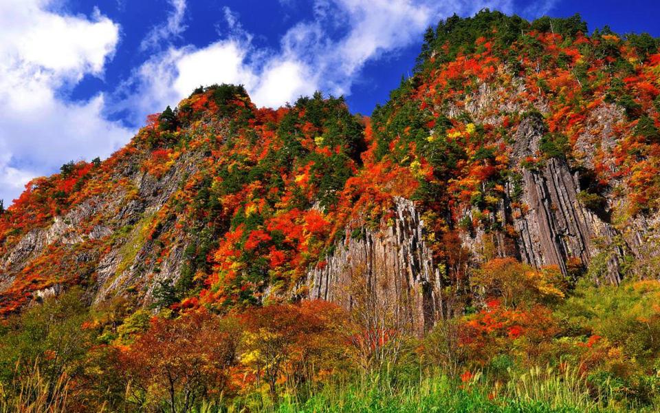 满山红叶迷人自然风景壁纸