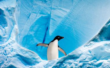 南极蓝色冰山企鹅高清壁纸
