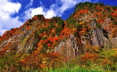 满山红叶迷人自然风景壁纸